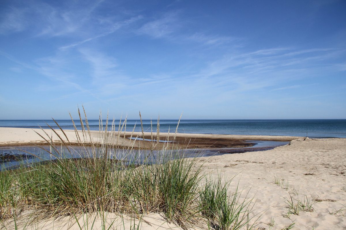 Marram grass on a low dune above the Lake Michigan shoreline, a shallow outflow channel cutting across the sand to open water.
